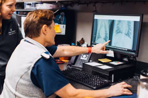 elevate yourmentorship