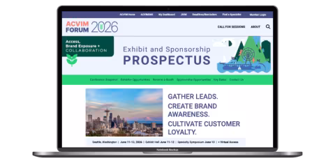 Prospectus Mockup on laptop