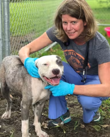 Rochelle Low, DVM, MHL, MaS