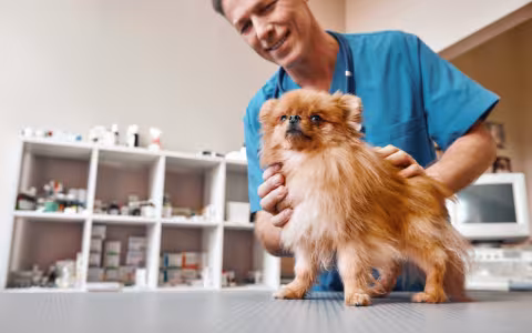 Demystifying the Compounding Conundrum: What We Should Know